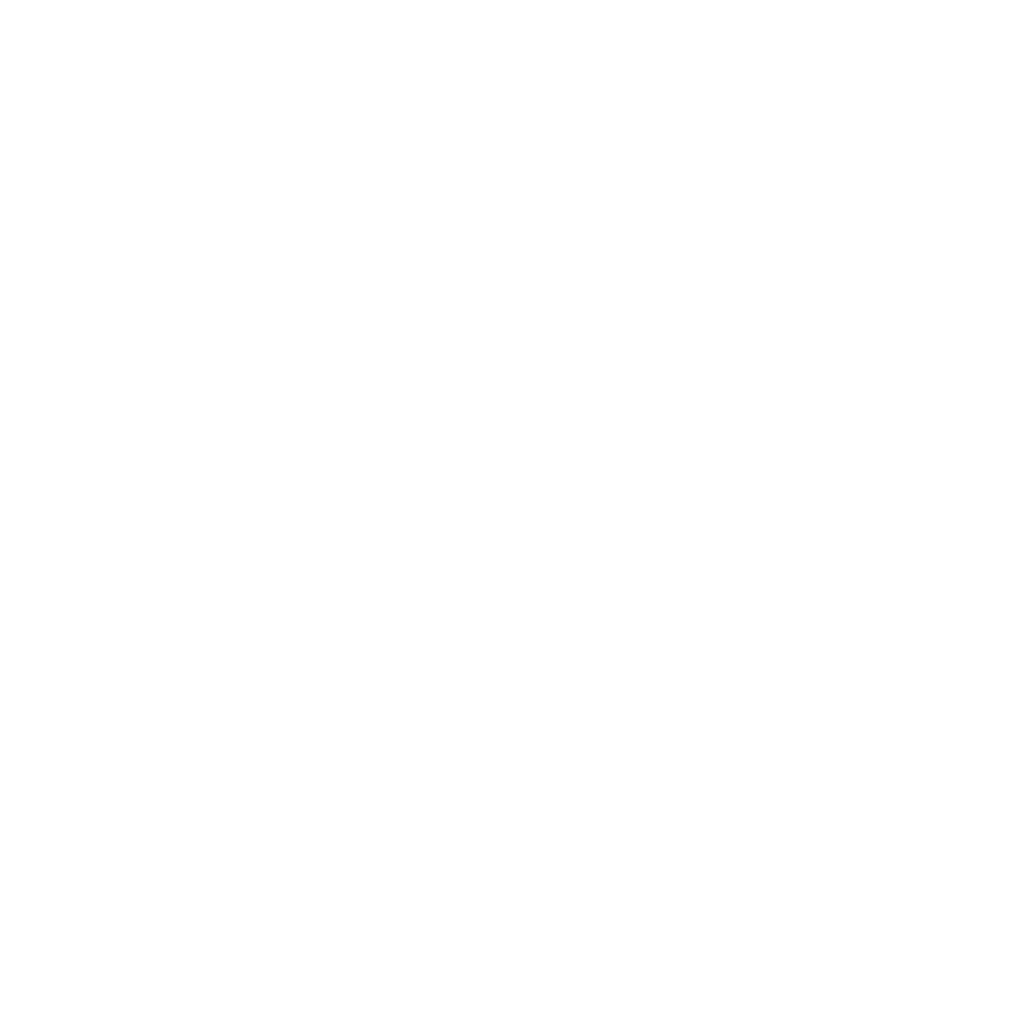 Malini Motors Logo